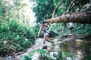 BIB: 
                            <button type="button" onclick="openModal(25436728)" class="btn btn-primary btn-sm float-right btn-popup" data-toggle="modal" data-target=".modal-high-quality">
                        <i class="fas fa-shopping-cart"></i> Add to Cart
                    </button>
                                            <button type="button" onclick="isThisMe(25436728, true)" class="btn btn-success btn-sm float-right btn-popup btn-isme hidden" data-toggle="tooltip" data-placement="bottom" title="นี่คือรูปของคุณใช่ไหม คลิกที่นี่เพื่อเอาเข้าอัลบั้ม">
                        <i class="fas fa-plus"></i> Add to album
                    </button>
                    <button type="button" onclick="isThisMe(25436728, false)" class="btn btn-warning btn-sm float-right btn-popup btn-isnotme hidden">
                        <i class="fas fa-ban"></i> Remove from album
                    </button>